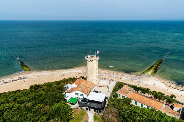 Quels sont les meilleurs spots pour l'observation des baleines en Islande?
